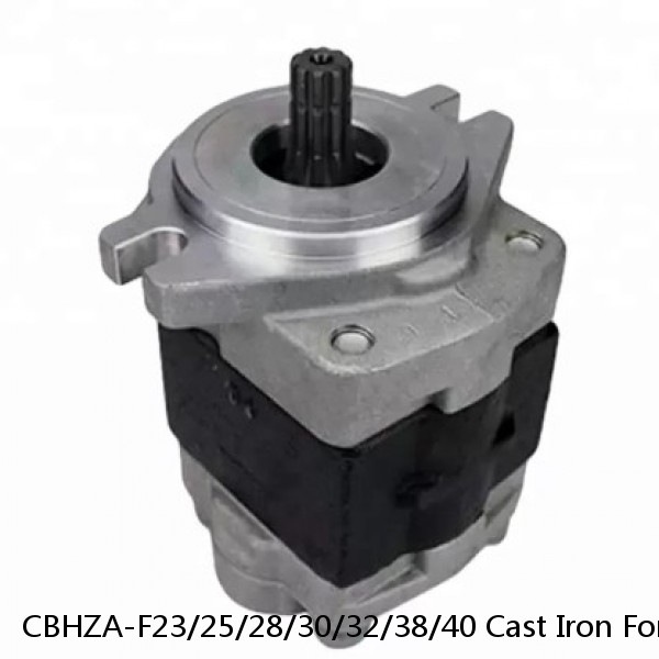 CBHZA-F23/25/28/30/32/38/40 Cast Iron Forklift Parts Hydraulic Gear Pump CBHZA